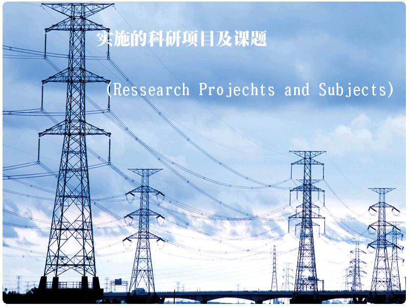 實(shí)施的科研項目及課題（Ressearch Projechts and Subjects）